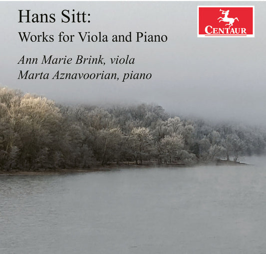 Ann Marie Brink - Works for Viola & Piano (CD)