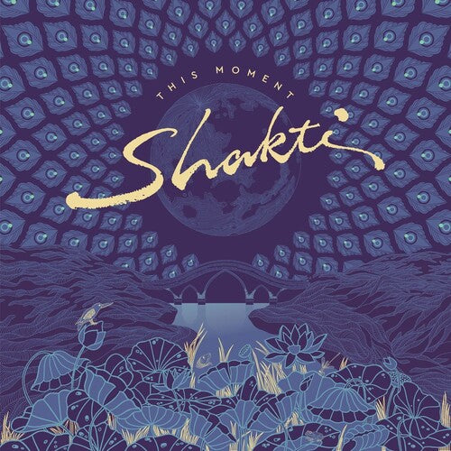 Shakti - This Moment (CD)