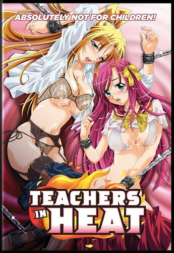 Teachers In Heat (DVD) - Surprise Castle