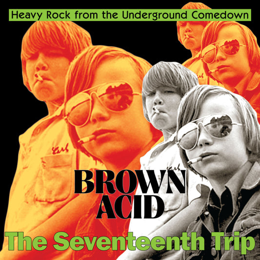 Various Artists - Brown Acid - The Seventeenth Trip (Various Artists) (CD)