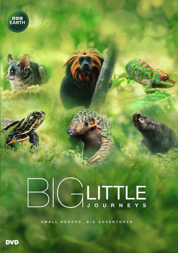 Big Little Journeys (DVD)