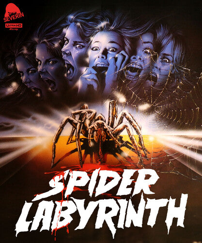 The Spider Labyrinth (4K Ultra HD)