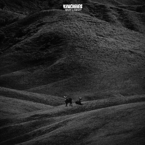 NxWorries - Why Lawd? (CD)