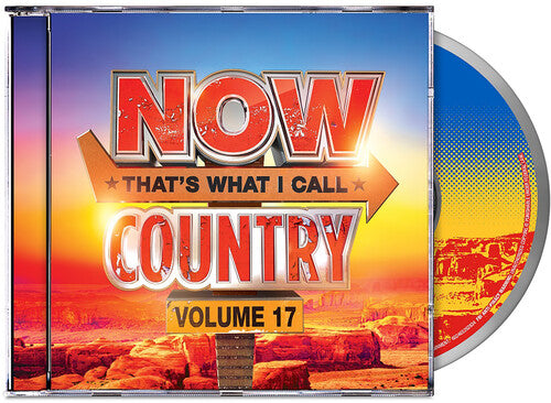 Various Artists - NOW Country 17 (Various Artists) (CD)