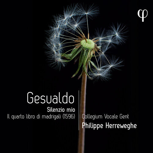 Hannah Ely - Gesualdo: Silenzio mio - Il quarto libro di madrigali (CD)