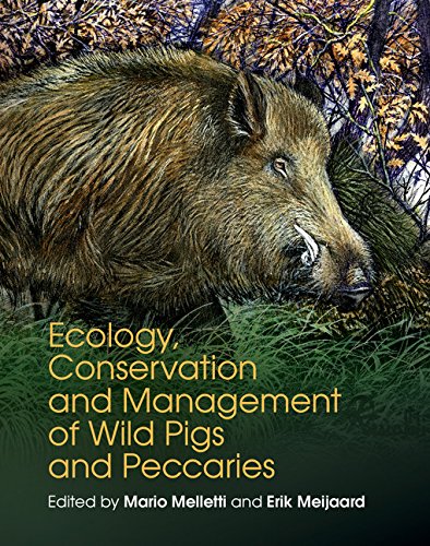 Ecology, Conservation and Management of Wild Pigs and Peccaries by Melletti, Mario