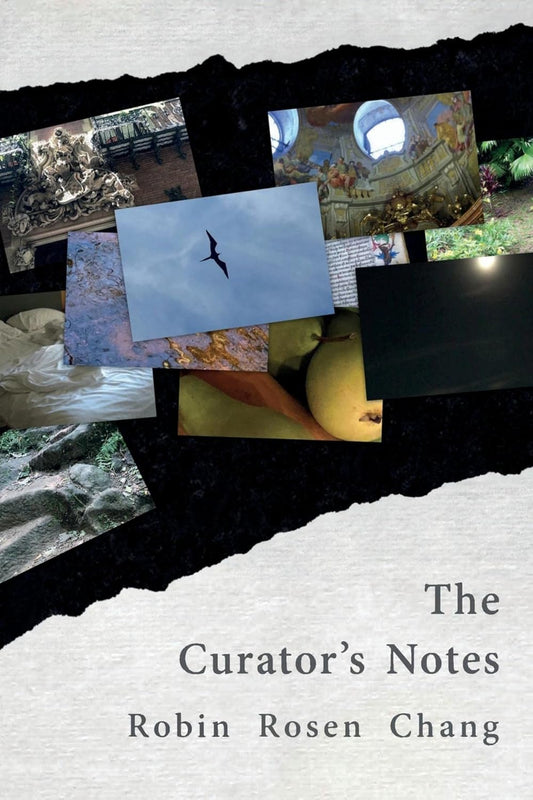 The Curator's Notes by Chang, Robin Rosen