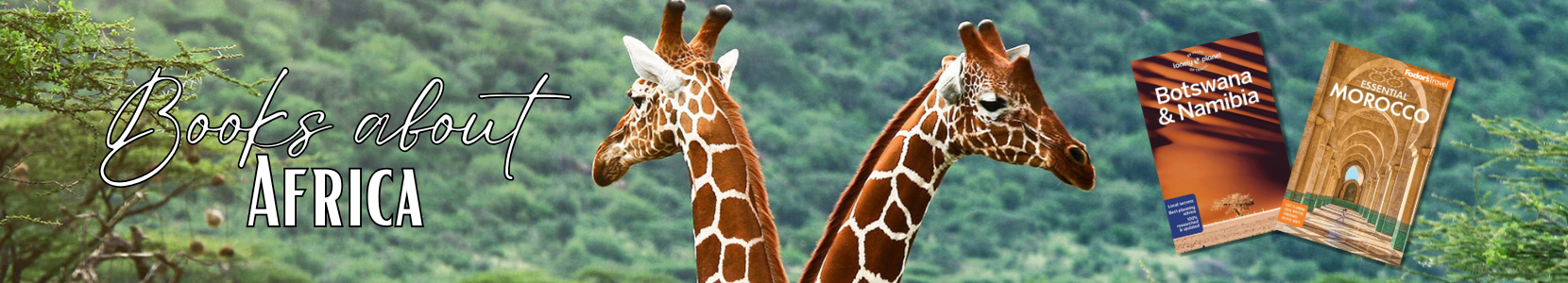 Selection of books focused on Africa