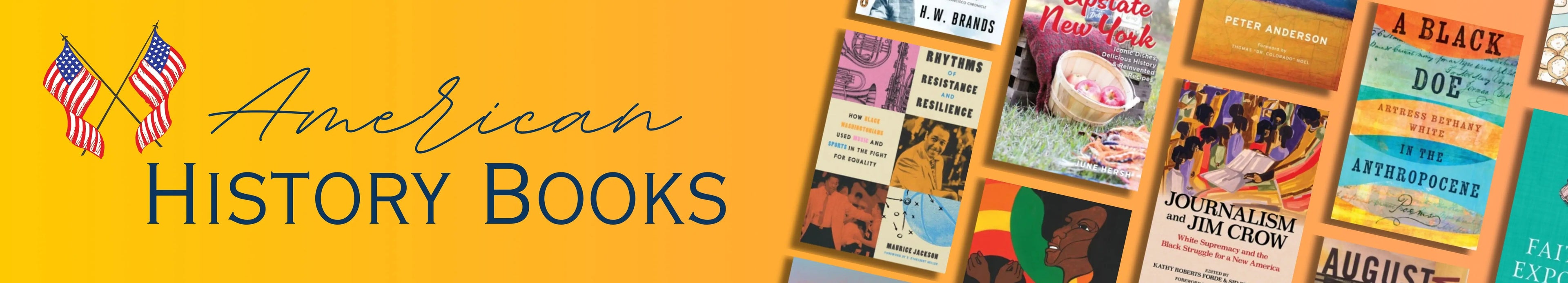 Collection of American history books