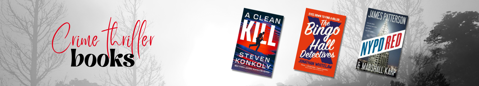 Crime thrillers exploring justice, deception, and the dark side of human nature