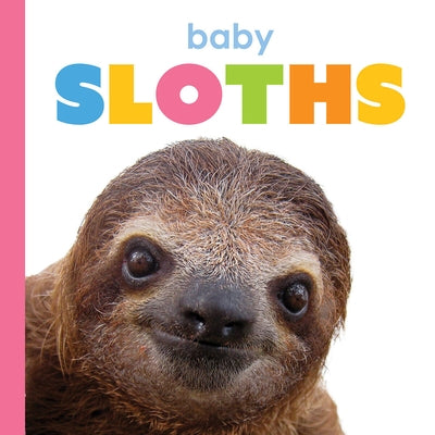 Baby Sloths by Thompson, Kim