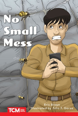 No Small Mess: Level 1: Book 7 by Braun, Eric