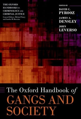 The Oxford Handbook of Gangs and Society by Pyrooz, David C.