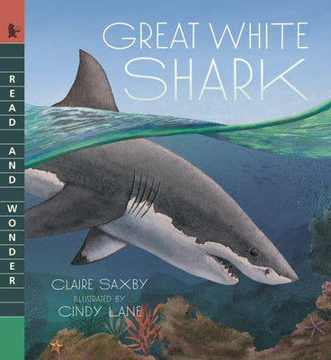 Great White Shark: Read and Wonder by Saxby, Claire