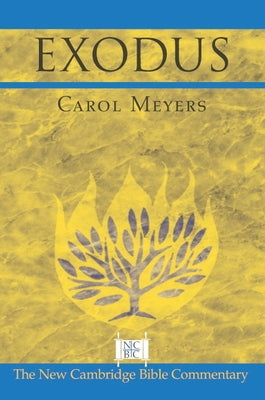 Exodus by Meyers, Carol L.