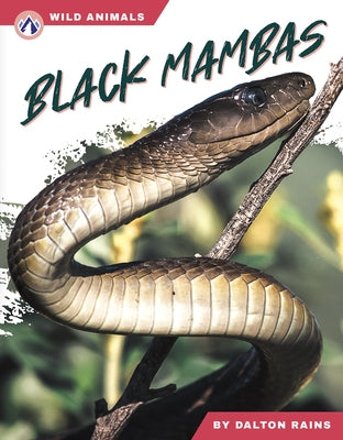 Black Mambas by Rains, Dalton