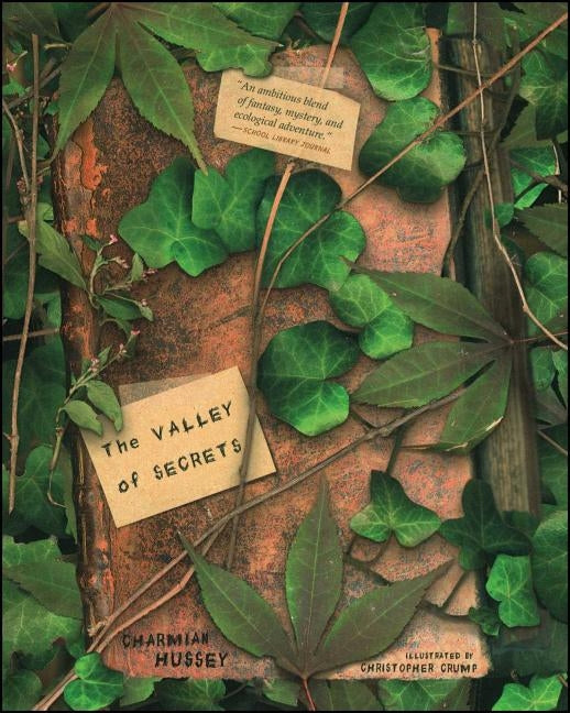 Valley of Secrets by Hussey, Charmian