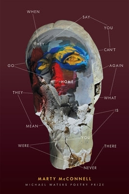 When They Say You Can't Go Home Again, What They Mean Is You Were Never There by McConnell, Marty