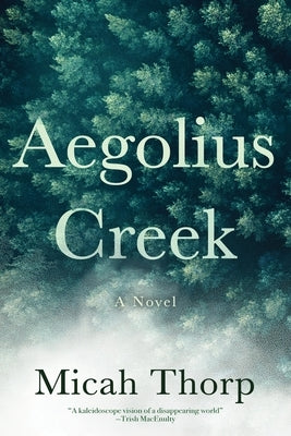 Aegolius Creek by Thorp, Micah