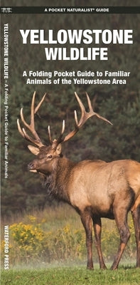 Yellowstone Wildlife: A Folding Pocket Guide to Familiar Animals of the Yellowstone Area by Kavanagh, James