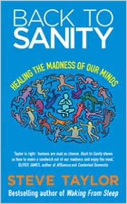 Back to Sanity: Healing the Madness of Our Minds by Taylor, Steve