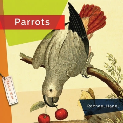 Parrots by Hanel, Rachael