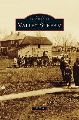 Valley Stream by Florio, Bill