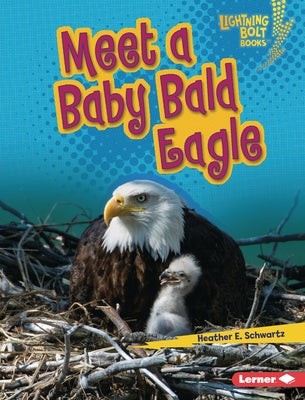 Meet a Baby Bald Eagle by Schwartz, Heather E.