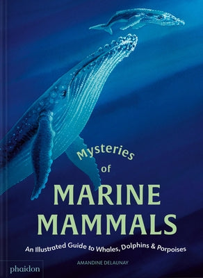 Mysteries of Marine Mammals: An Illustrated Guide to Whales, Dolphins, and Porpoises by Delaunay, Amandine