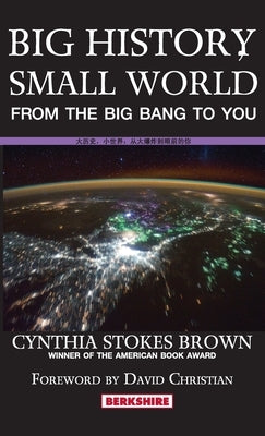 Big History, Small World: From the Big Bang to You by Stokes Brown, Cynthia