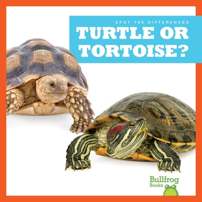 Turtle or Tortoise? by Rice, Jamie