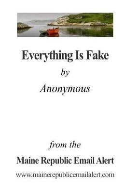 Everything Is Fake: by Anonymous by Robinson, David E.