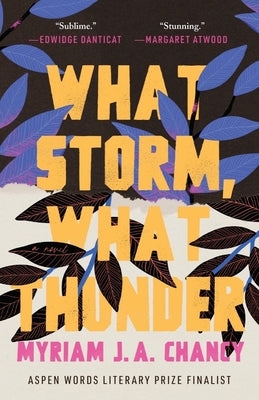 What Storm, What Thunder by Chancy, Myriam Ja