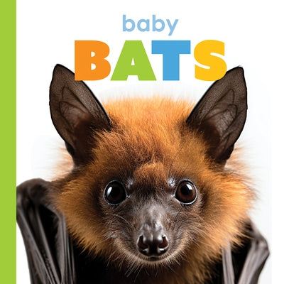 Baby Bats by Greve, Meg