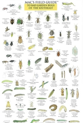 Mac's Field Guides: Southeast Garden Bugs by Macgowan, Craig