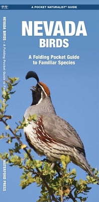 Nevada Birds: A Folding Pocket Guide to Familiar Species by Kavanagh, James