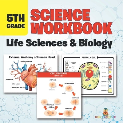 5th Grade Science Workbook: Life Sciences & Biology by Baby Professor