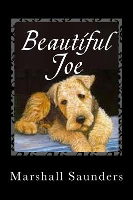 Beautiful Joe by Saunders, Marshall