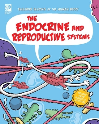 The Endocrine and Reproductive Systems by Midthun, Joseph