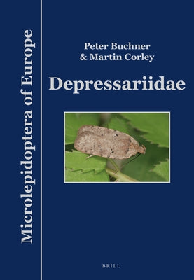 Depressariidae by Buchner, Peter