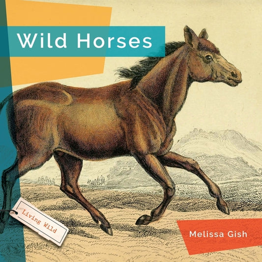 Wild Horses by Gish, Melissa