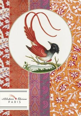 L'Oiseau Rouge (the Red Bird): A Painting from 1760's Ceylon by Alibabette Editions