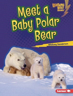 Meet a Baby Polar Bear by Sanderson, Whitney