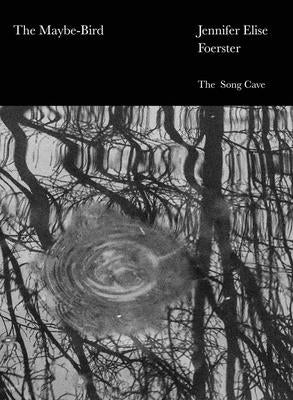 The Maybe-Bird by Foerster, Jennifer Elise