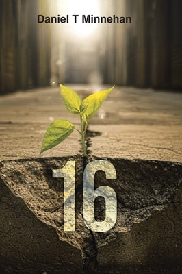 16 by Minnehan, Daniel T.