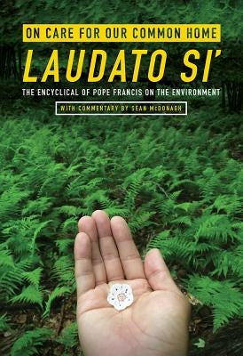 On Care for Our Common Home, Laudato Si': The Encyclical of Pope Francis on the Environment with Commentary by Sean McDonagh by Francis, Pope