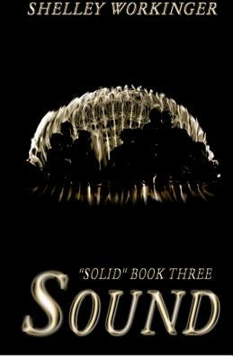 Sound: Solid, Book 3 by Workinger, Shelley