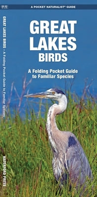 Great Lakes Birds: An Introduction to Familiar Species by Kavanagh, James