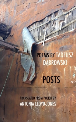 Posts by Dabrowski, Tadeusz