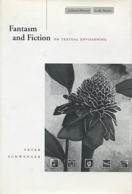 Fantasm and Fiction: On Textual Envisioning by Schwenger, Peter